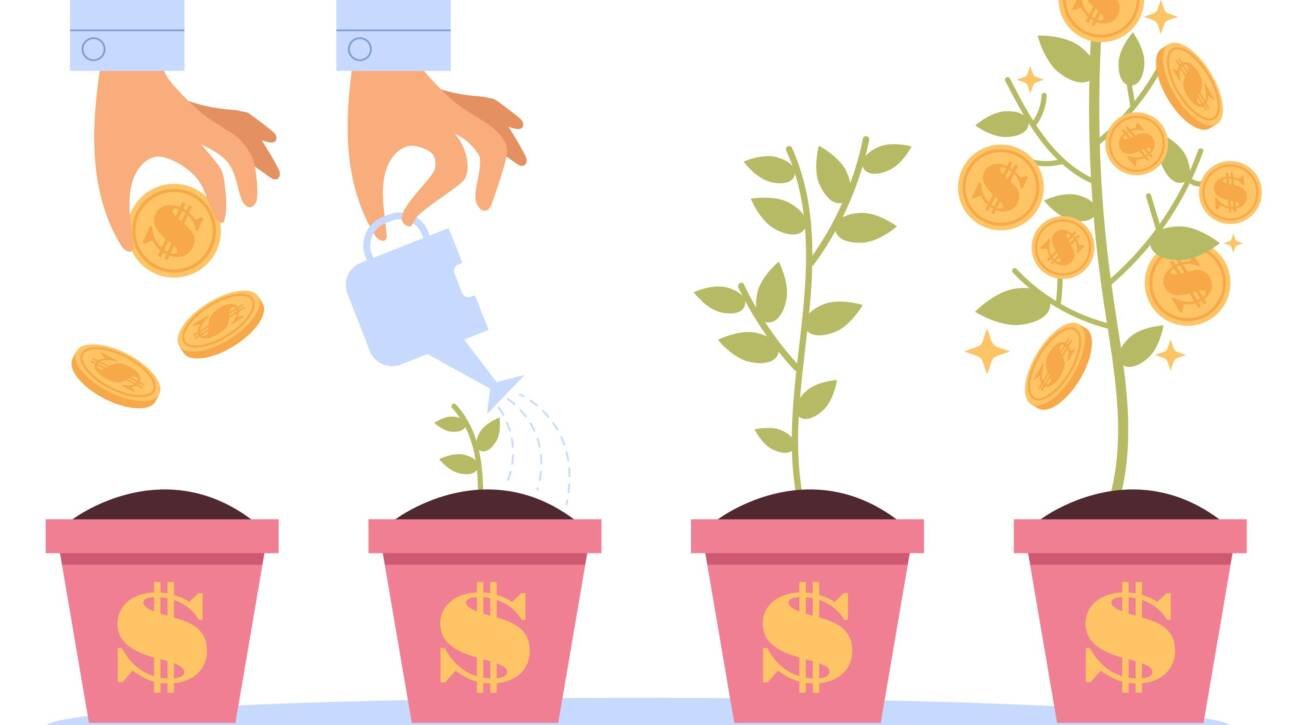 Pre Seed Investment and Its Types